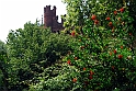 Borgo e Rocca Medioevale_119